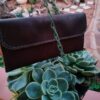Kalahari Dune wallet