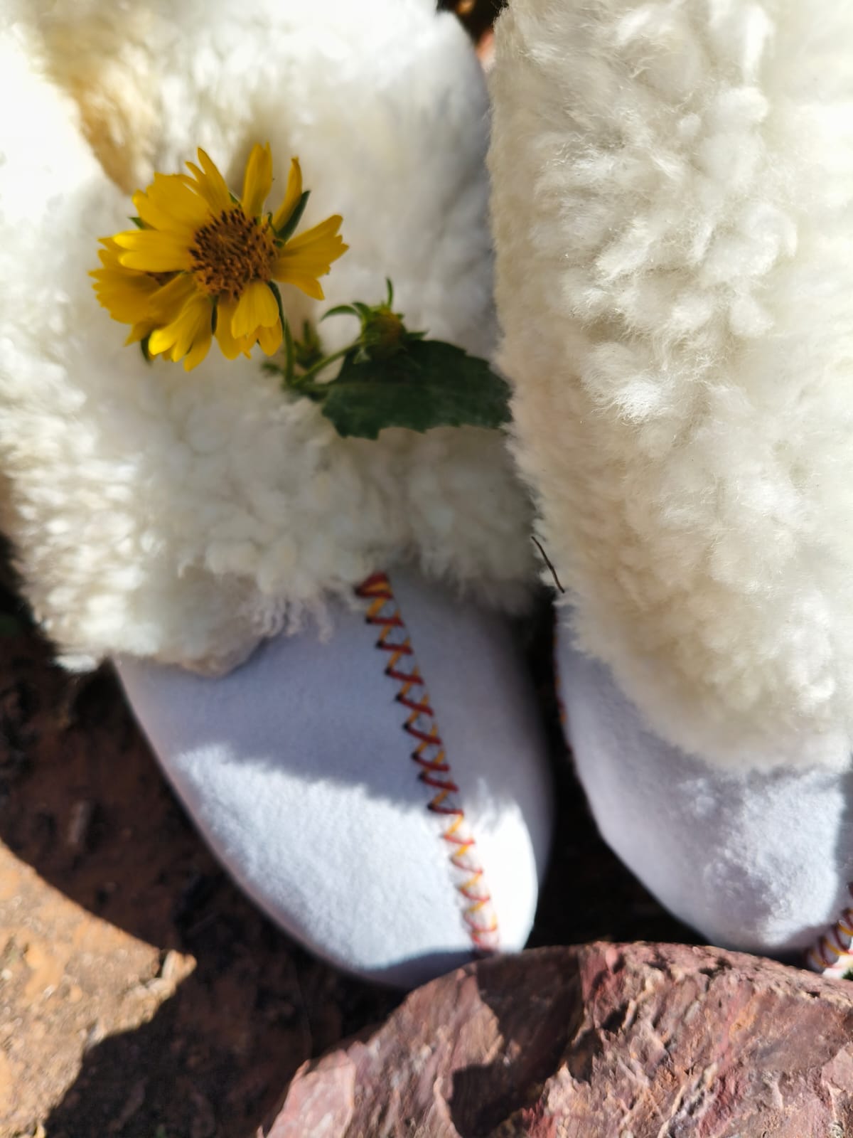 Alba Sheepskin slippers - Image 2