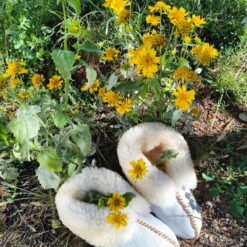 Alba Sheepskin slippers