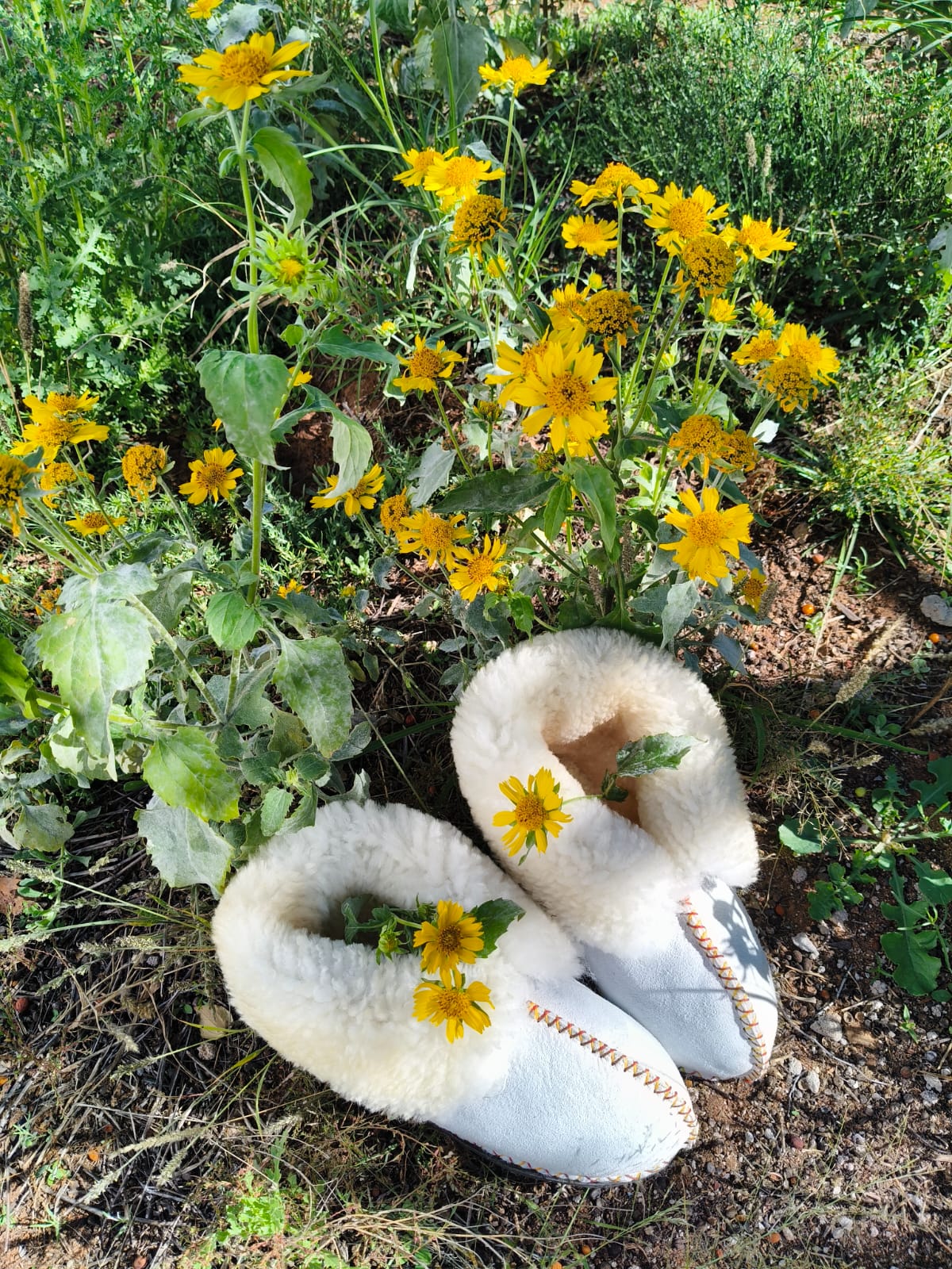 Alba Sheepskin slippers